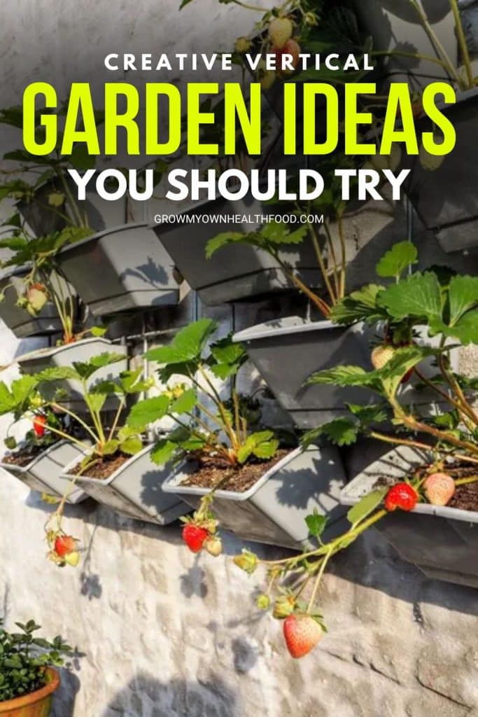 Creative Vertical Garden Ideas You Should Try