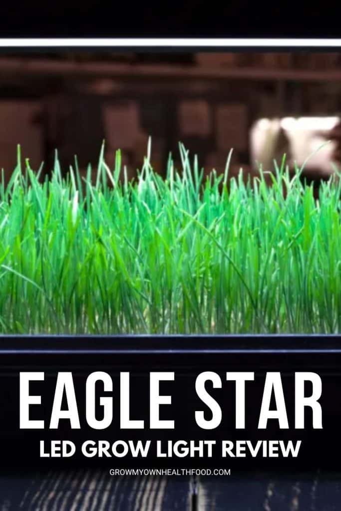 Eagle Star LED Grow Light Review