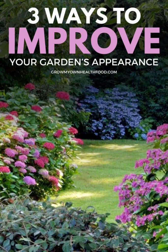 3 Ways To Improve Your Garden’s Appearance