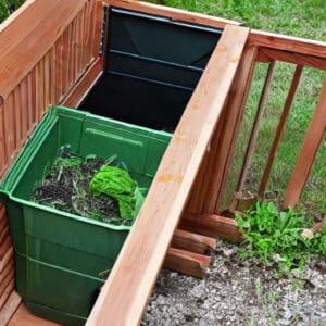Composting Bin Backyard