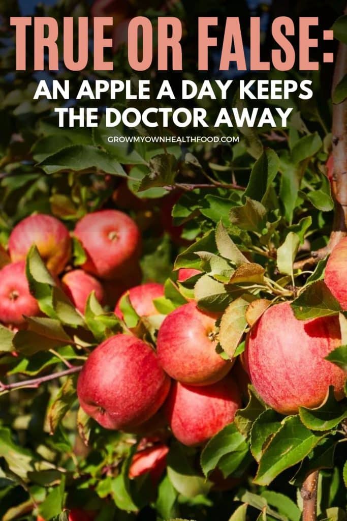 True or False An Apple a Day Keeps the Doctor Away