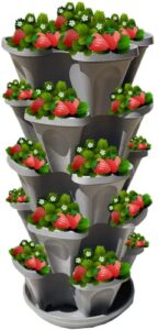 Product image of 5-tier-stackable-strawberry-garden-strawberries-b0bw1pgxff
