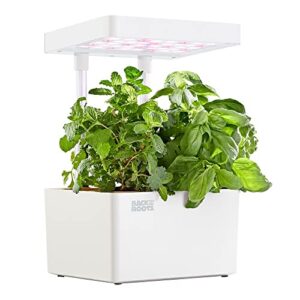 Product image of back-roots-hydroponic-gardening-everything-b0b6q4j6xy
