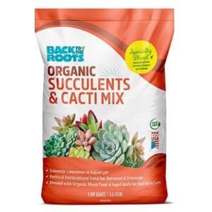 Product image of back-roots-succulents-cacti-mix-b0bv2yw11x