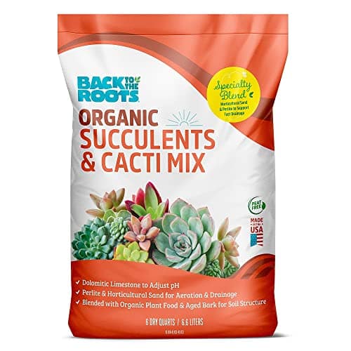 Product image of back-roots-succulents-cacti-mix-b0bv2yw11x