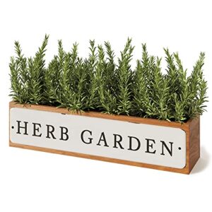 Product image of barnyard-designs-planter-succulent-outdoor-b07sm57vss