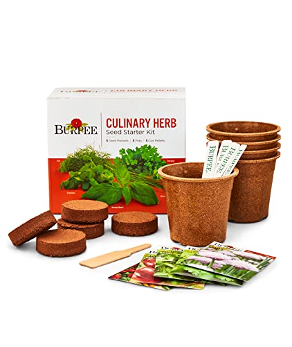 Product image of burpee-culinary-herb-starter-seed-b07qc7zfmk