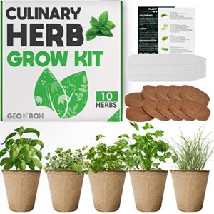 Product image of culinary-herb-garden-kit-everything-b071xz2w6s