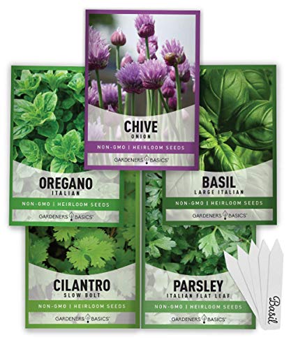 Product image of culinary-planting-outdoors-including-cilantro-b08scbl5qp