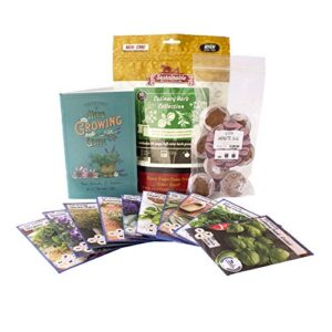 Product image of culinary-seeds-outdoor-indoor-garden-b08lp4ylsl