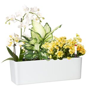 Product image of elongated-watering-planter-coconut-decorative-b07kctjj12
