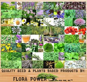 Product image of flora-power-red-pine-medicinal-b00xlqqanq