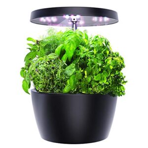 Product image of garden-hydroponics-growing-starter-beginners-b08pf4zv21