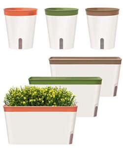 Product image of gardenbasix-watering-decorative-succulents-tricolor-b089ytt12q