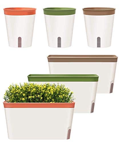 Product image of gardenbasix-watering-decorative-succulents-tricolor-b089ytt12q