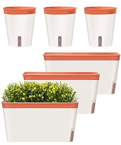 Product image of gardenbasix-watering-rectangle-decorative-succulents-b089yt7l7s