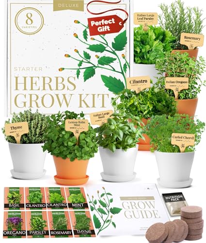 Product image of indoor-herb-garden-kit-starter-b08krpb8jm