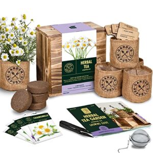 Product image of indoor-herb-garden-seed-starter-b07jd8jkhc