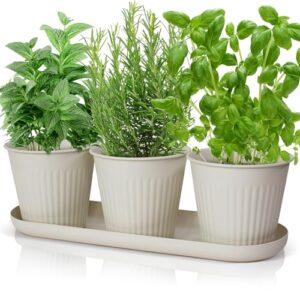 Product image of kibaga-beautiful-garden-planter-indoor-b0cgztsy51