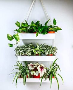 Product image of lalagreen-hanging-wall-planter-succulent-b0b2lx9t86