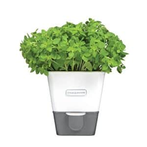 Product image of mason-self-watering-indoor-garden-planter-b019z2iluo