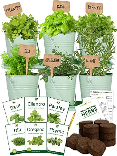 Product image of medicinal-herbs-starter-kit-different-b0b6wmnf84