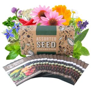 Product image of medicinal-seed-collection-premium-assortment-b07h2n1v1z