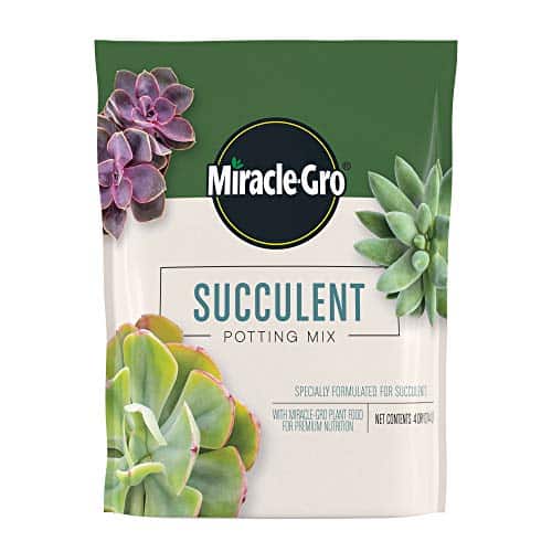 Product image of miracle-gro-succulent-potting-mix-fertilized-b08gy7mzmc