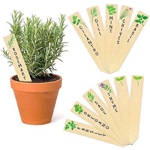 Product image of planted-assorted-12-pack-kitchen-re-usable-b08fx8h7nv
