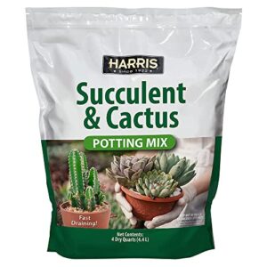 Product image of premium-succulent-potting-draining-nutrients-b09hhmsm3j