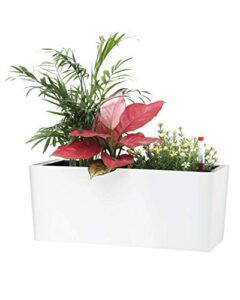 Product image of sarosora-rectangle-watering-indicators-succulent-b08lnpc6cz