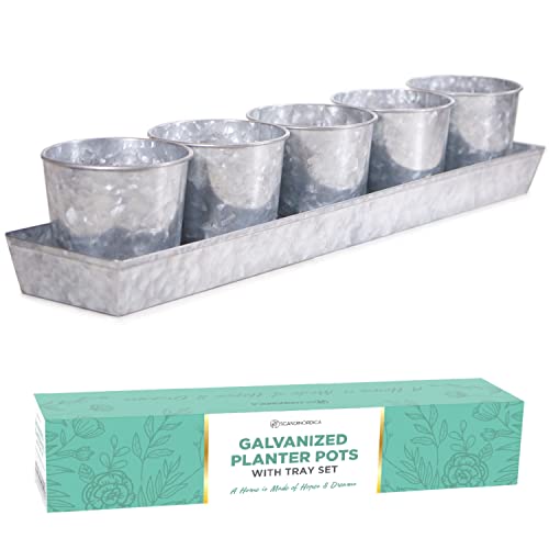 Product image of scandinordica-galvanized-planter-windowsill-farmhouse-b098h95ksy