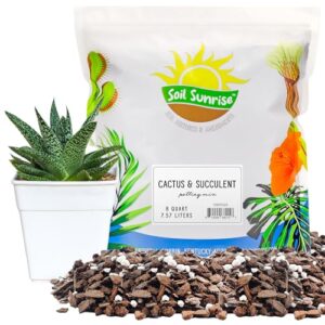 Product image of succulent-potting-blend-fast-draining-desert-style-b09prlxc76