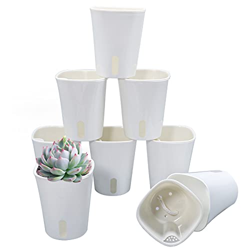 Product image of succulent-self-watering-self-aerating-drainage-planters-b095kgjkt2