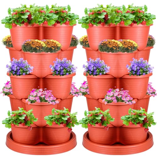 Product image of sunnychicc-stackable-strawberry-succulents-vegetables-b0cnt9mxl7