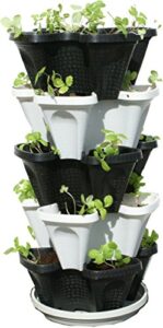 Product image of tier-black-stackable-strawberry-garden-b01bbimsdg