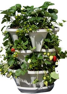 Product image of tier-stackable-garden-strawberries-succulents-b00wx4gb3q