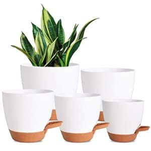 Product image of vanslogreen-watering-planters-drainage-succulents-b09y312pkx
