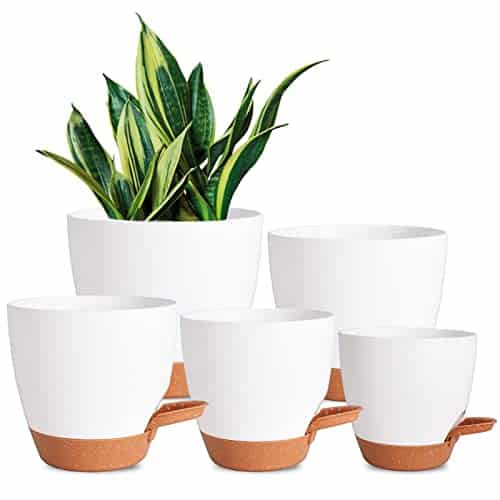 Product image of vanslogreen-watering-planters-drainage-succulents-b09y312pkx