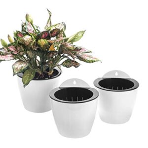 Product image of watering-vertical-container-succulent-decoration-b07c91pyx9
