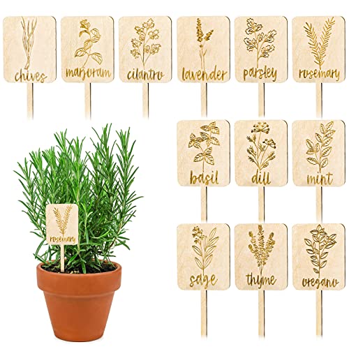 Product image of whaline-planted-markers-re-usable-decoration-b0bymqgpzz