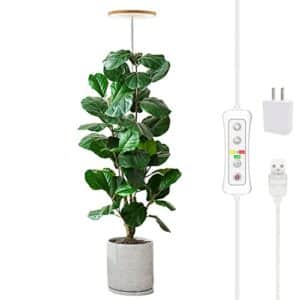 Product image of yadoker-growing-spectrum-adjustable-automatic-b0bwxzx9sz