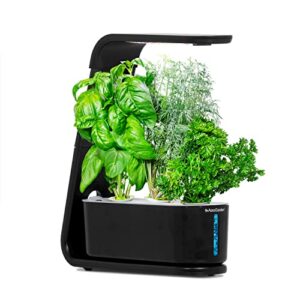 Product image of aerogarden-black-sprout-2020-model-b08gvspfmw