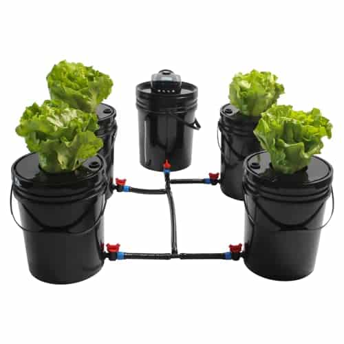 Product image of bjtdllx-dwc-system-grow-hydroponics-b0bqj51jmm