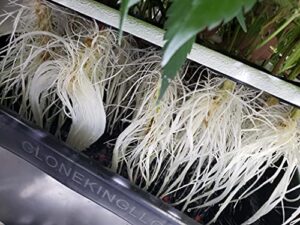 Product image of clone-king-aeroponic-cloning-machine-b008pup1mo