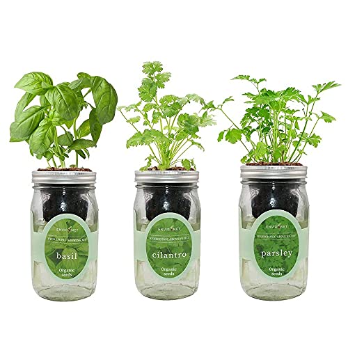 Product image of environet-hydroponic-growing-self-watering-cilantro-b08b83cd8z