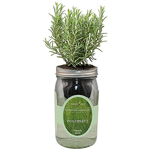 Product image of environet-hydroponic-growing-self-watering-rosemary-b08d3cw6sh