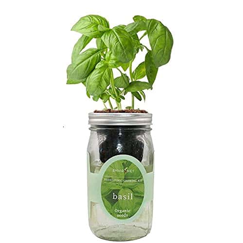Product image of environet-hydroponic-growing-self-watering-starter-b08b3k1hfy
