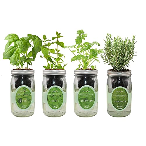 Product image of environet-hydroponic-self-watering-cilantro-rosemary-b08qdf8j49