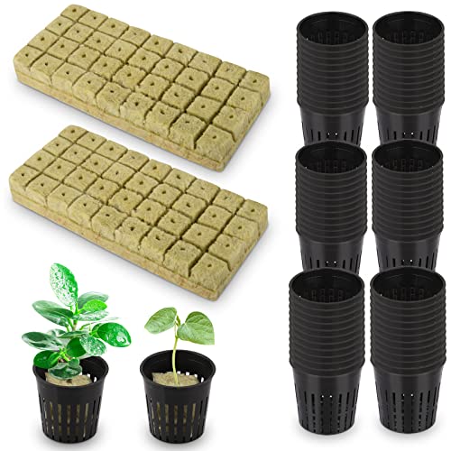 Product image of rockwool-72-pack-hydroponics-growing-supplies-b0by87jz29